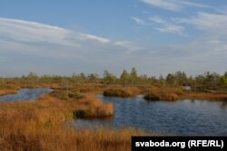 Насьціл упіраецца ў водную стужку Азяраўкі