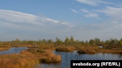 Ляндшафтны заказьнік «Ельня». Ілюстрацыйнае фота