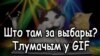 Што за выбары будуць увосень? Тлумачым гіфкамі