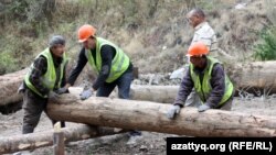 Жұмысшылар Іле Алатау ұлттық паркіндегі өрттен бүлінген ағашты жинап жүр. Алматы, 7 қыркүйек 2012 жыл. (Көрнекі сурет)