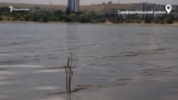 Симферопольское водохранилище. Крымский оазис во время засухи (видео)