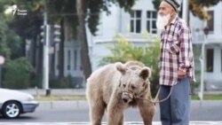 Хонаводаи Бобои Талабшоҳ даъвои ҳаққи муаллифӣ кард