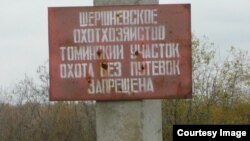 Томино