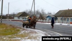 Коні яшчэ будуць запатрабаваныя. На ўскрайку Круглага