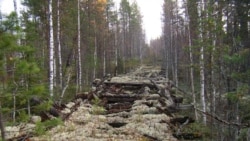 Ляжнёўка — дарога, па якой пасяленцы вазілі лес