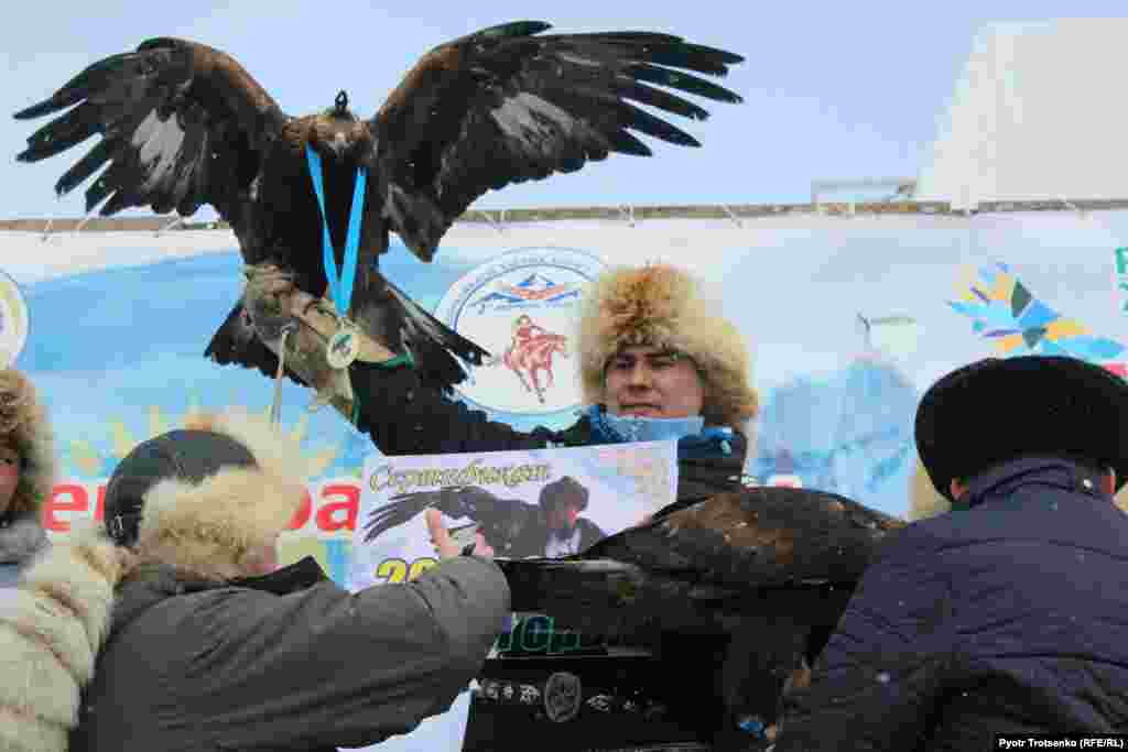 Жарыстың жеңімпазы - атыраулық бүркітші Арман Қошқаров.