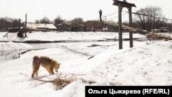 Вид на деревню Гвасюги