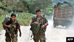 Члены Вооруженных революционных сил Колумбии (FARC), 2002 г.