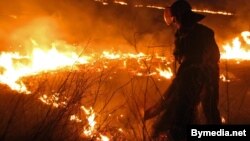 Пажарны тушыць падпаленую траву, архіўнае фота