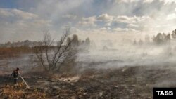 Тленьне тарфяніку, ілюстрацыйнае фота