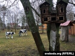 «Палац» для птушак