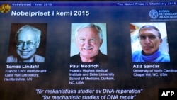 Tomas Lindahl, Paul Modrich və Aziz Sancar