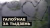 Лягер для востракапытных і хакейнае акно ў Эўропу 