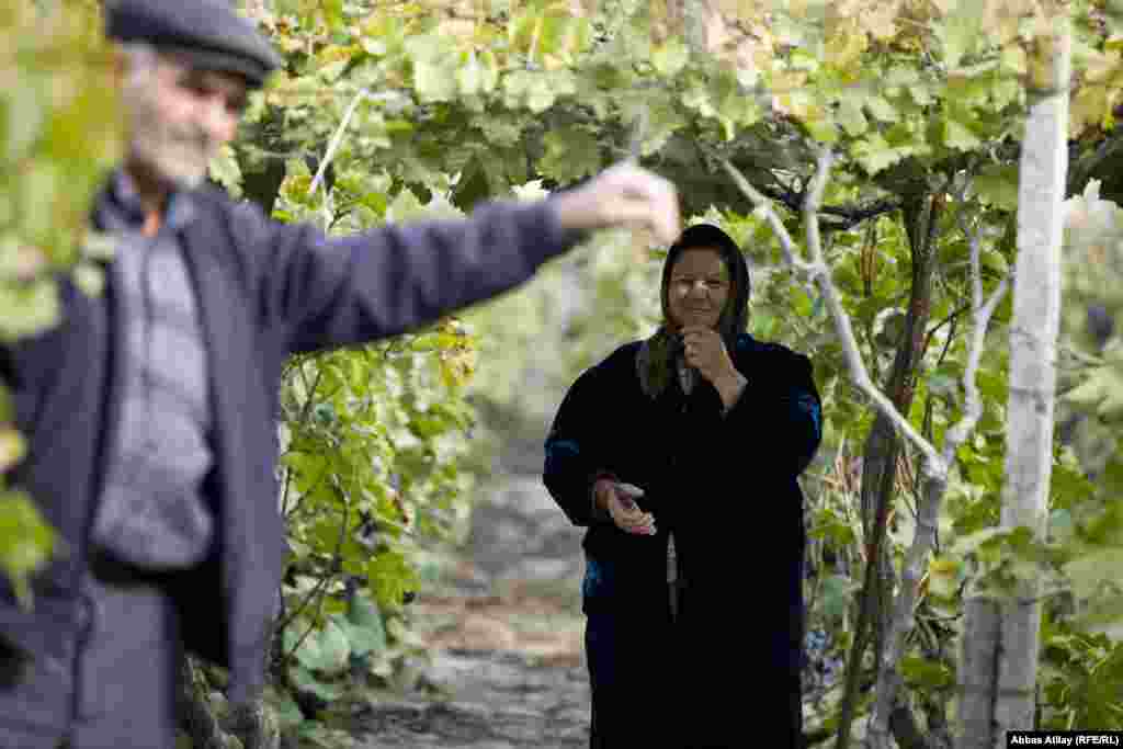 Pirverdi əmi deyir ki, üzüm növü Dərbəndi olduğundan bazarda ona tələbat çoxdur. Amma özünün bu məhsulu bazara çıxarmağa imkanı yoxdur deyə məhsulu elə qapıdaca "alverçilərə" satır. Necə deyərlər "al qapıda - sat qapıda".