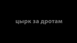 Цырк за дротам: Выбары-дурыбары