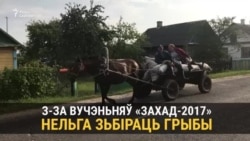 «Мы ўсё жыцьцё на палігоне грыбы зьбіралі», — жыхары вёскі пад Даманавам