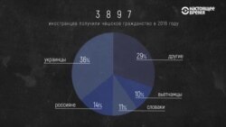 Як замежнікі, якія жывцць ў Чэхіі, ацэньваюць выбары ў парлямэнт і кандыдатаў