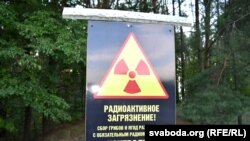 Belarus - RFE\RL reporting from the forests and vilages of Brahin region contaminated with radiation. Brahin region, 16Aug2017