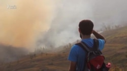 Qəbələdə meşə yanğınları niyə davam edir? Yanğın Milli Parka da keçib