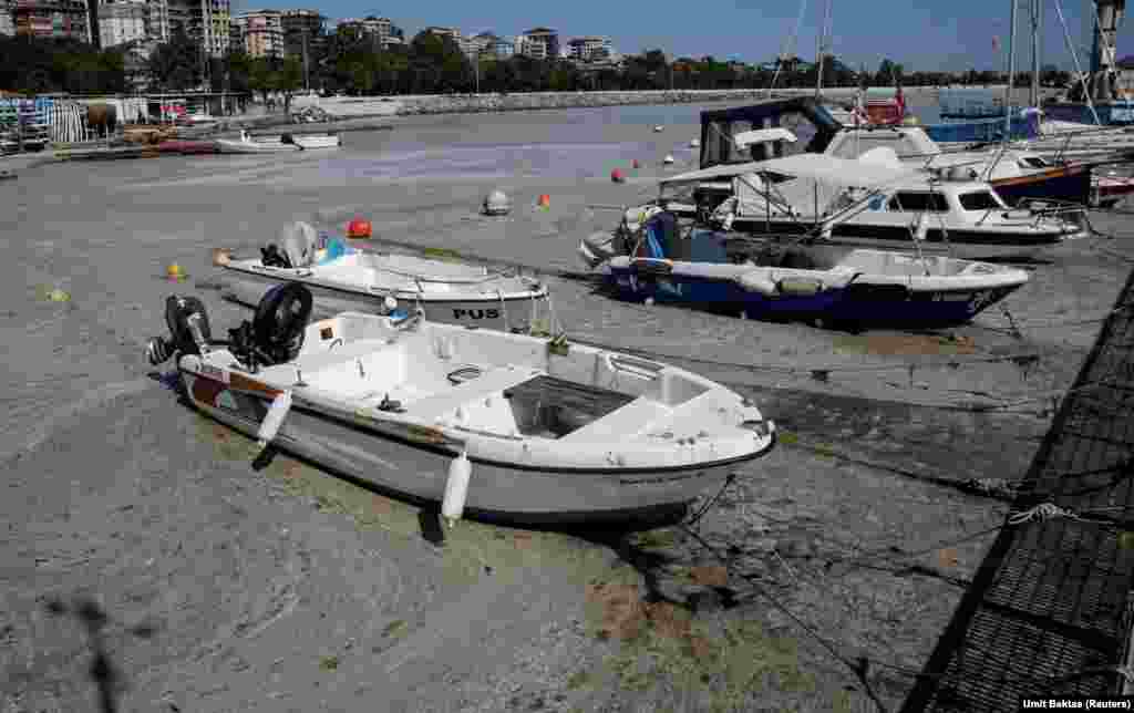 Среди мер, которые Турция планирует принять &ndash; снизить уровень азота в море на 40 процентов