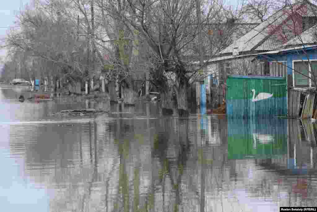 Ауылдағы су басқан көше. Мамандардың айтуынша, сәуірдің 16-ы күнгі жағдай бойынша, су деңгейі 25 сантиметр түскен.